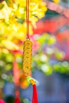  Trạm giải trí trực tuyến 